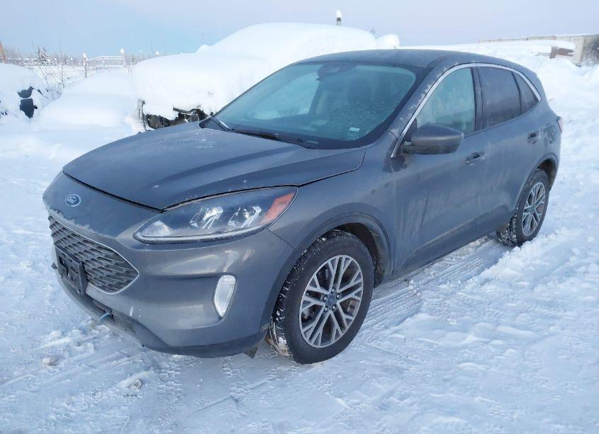 Photo 2 of 2022 Ford Escape SEL (VIN 1FMCU9H69NUA84104)