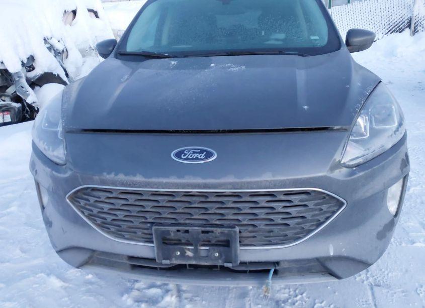 Photo 6 of 2022 Ford Escape SEL (VIN 1FMCU9H69NUA84104)
