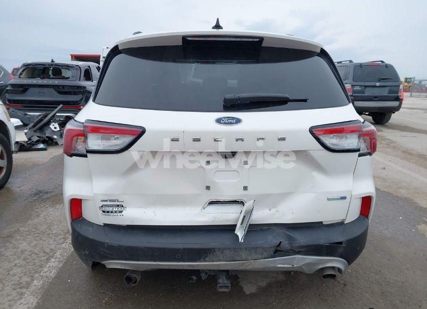 Photo 16 of 2020 Ford Escape SEL (VIN 1FMCU9H6XLUA52288)