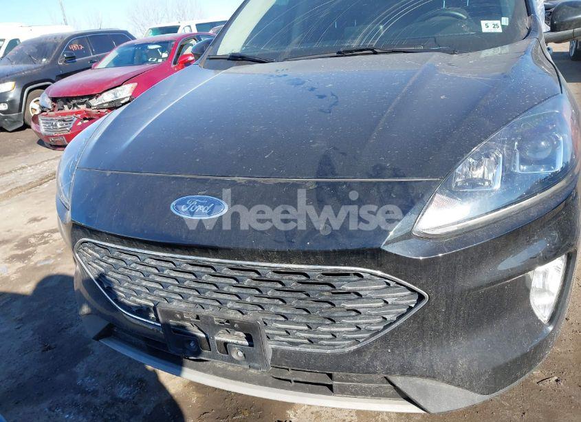 Photo 13 of 2020 Ford Escape SEL (VIN 1FMCU9H6XLUA89647)