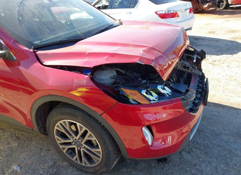 Photo 6 of 2021 Ford Escape SEL (VIN 1FMCU9H6XMUA65737)