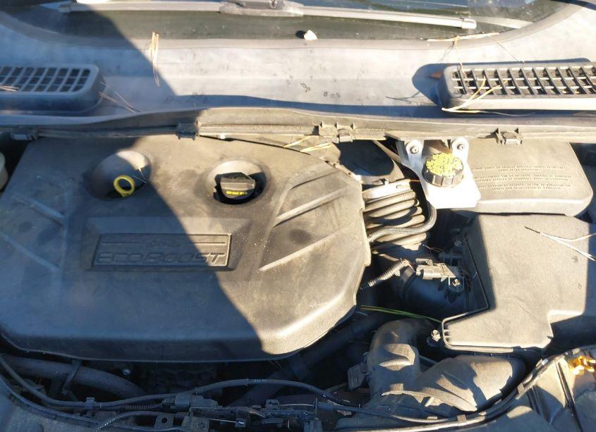 Photo 10 of 2013 Ford Escape SEL (VIN 1FMCU9H90DUB44022)