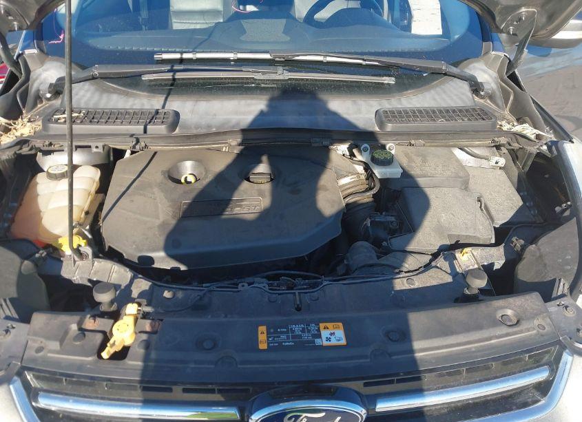 Photo 10 of 2013 Ford Escape SEL (VIN 1FMCU9H90DUB59491)