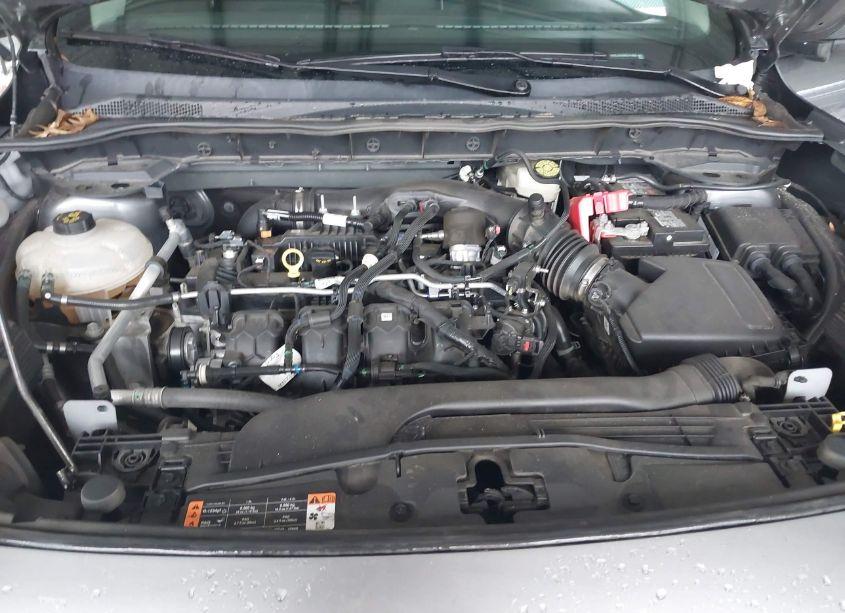 Photo 10 of 2022 Ford Escape SEL (VIN 1FMCU9H90NUA14095)