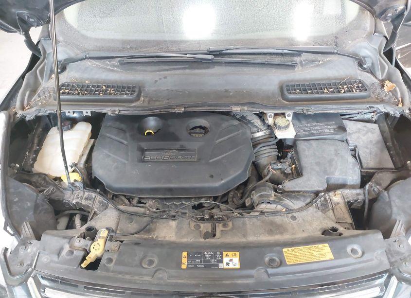 Photo 10 of 2013 Ford Escape SEL (VIN 1FMCU9H91DUC37132)