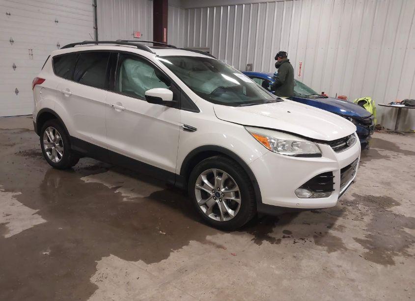 2013 Ford Escape SEL (VIN 1FMCU9H91DUC58689) main photo
