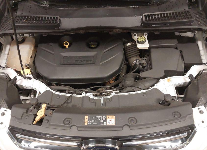 Photo 10 of 2013 Ford Escape SEL (VIN 1FMCU9H91DUC58689)