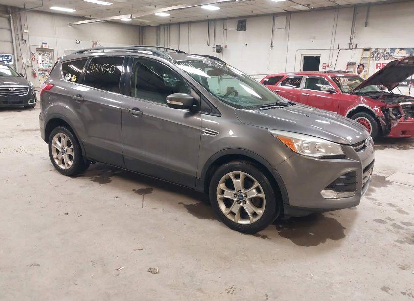2013 Ford Escape SEL (VIN 1FMCU9H91DUC66095) main photo