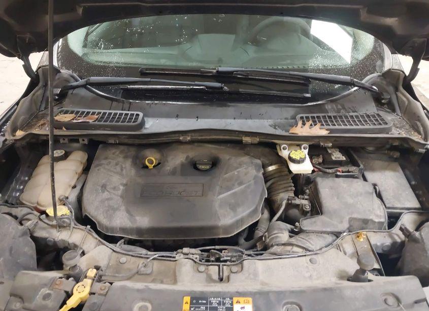 Photo 10 of 2013 Ford Escape SEL (VIN 1FMCU9H91DUC66095)