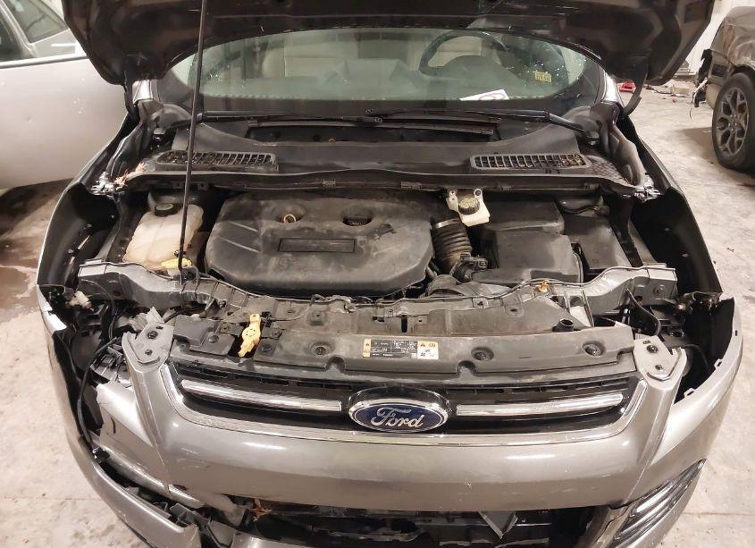 Photo 10 of 2013 Ford Escape SEL (VIN 1FMCU9H91DUC86038)
