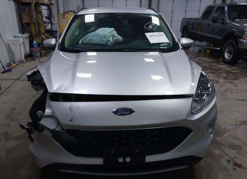 Photo 12 of 2020 Ford Escape SEL (VIN 1FMCU9H91LUB69428)