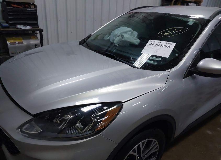 Photo 17 of 2020 Ford Escape SEL (VIN 1FMCU9H91LUB69428)