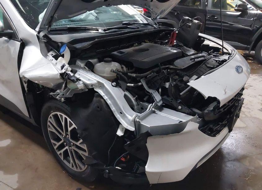 Photo 18 of 2020 Ford Escape SEL (VIN 1FMCU9H91LUB69428)