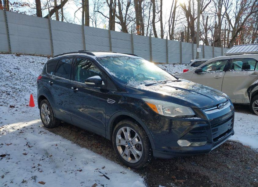 2013 Ford Escape SEL (VIN 1FMCU9H92DUA77133) main photo
