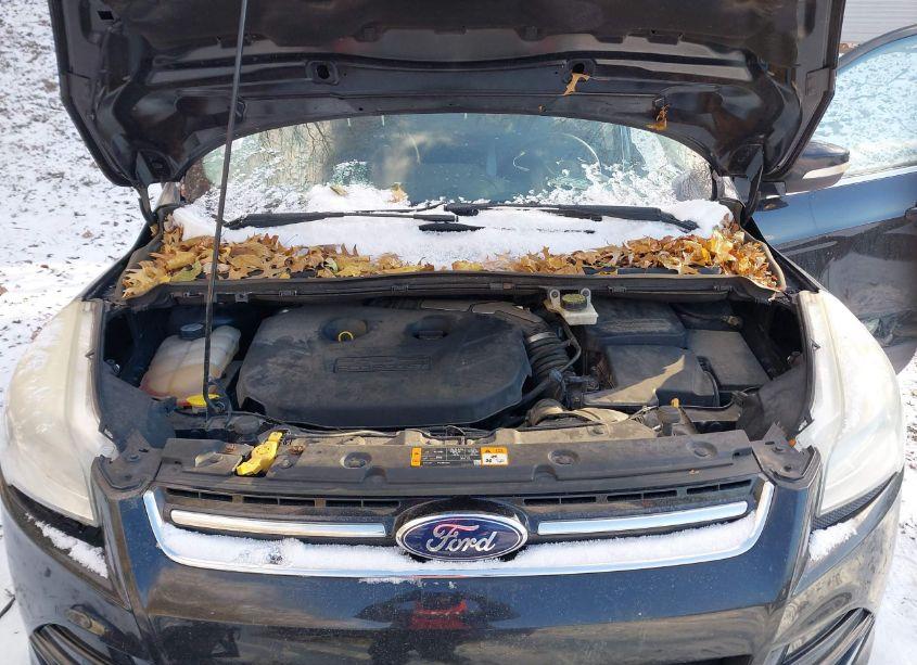 Photo 10 of 2013 Ford Escape SEL (VIN 1FMCU9H92DUA77133)