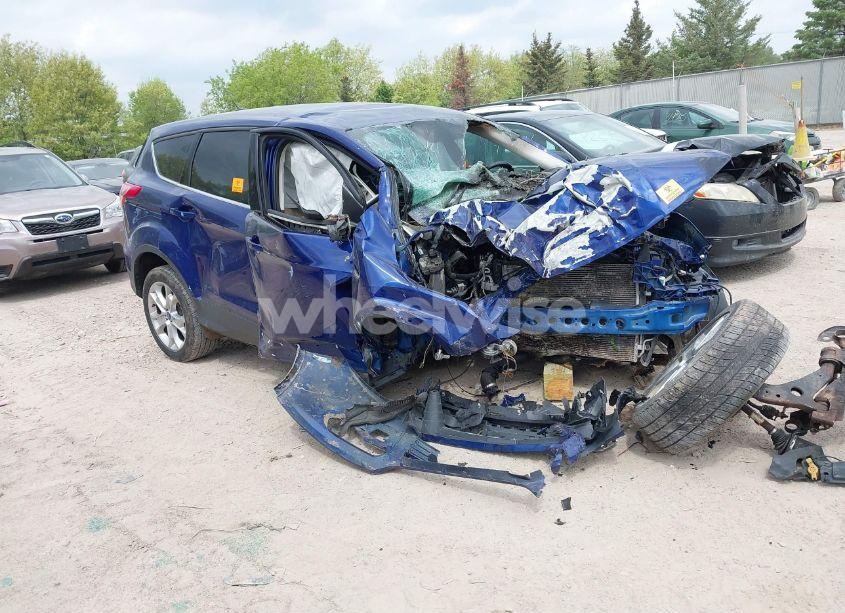 2013 Ford Escape SEL (VIN 1FMCU9H92DUC63769) main photo