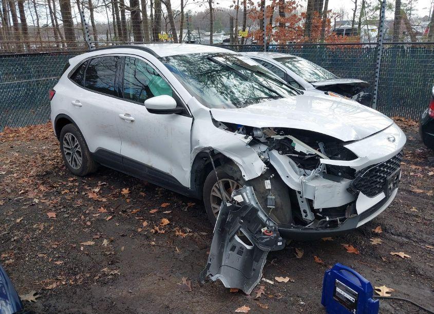 2020 Ford Escape SEL (VIN 1FMCU9H92LUA15956) main photo