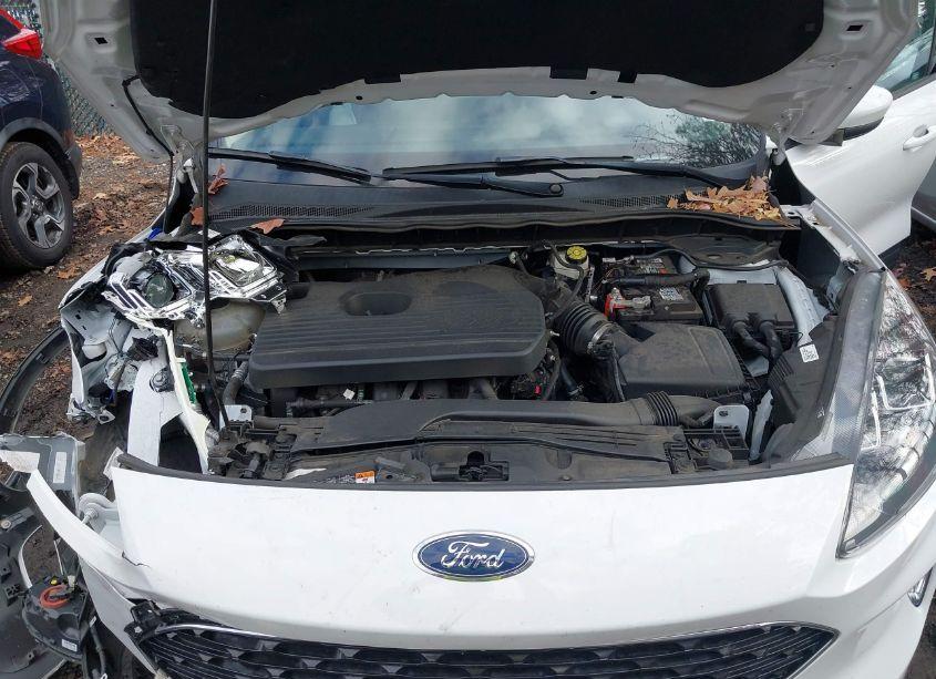 Photo 10 of 2020 Ford Escape SEL (VIN 1FMCU9H92LUA15956)