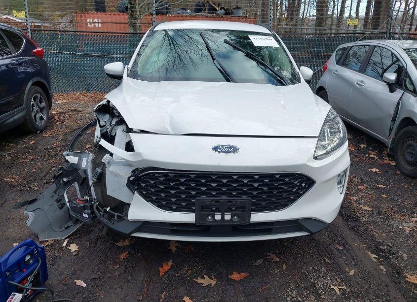 Photo 12 of 2020 Ford Escape SEL (VIN 1FMCU9H92LUA15956)