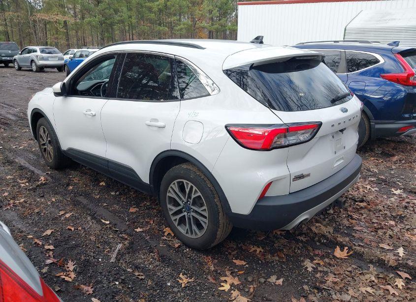 Photo 3 of 2020 Ford Escape SEL (VIN 1FMCU9H92LUA15956)