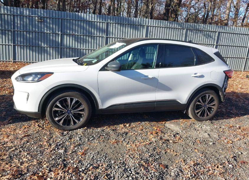 Photo 14 of 2021 Ford Escape SEL (VIN 1FMCU9H92MUA27817)