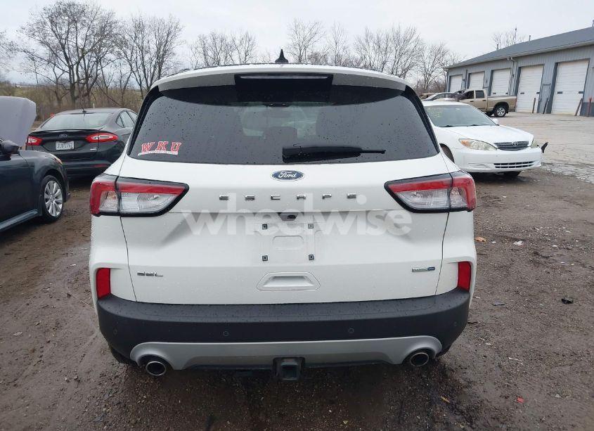 Photo 16 of 2020 Ford Escape SEL (VIN 1FMCU9H93LUA72943)