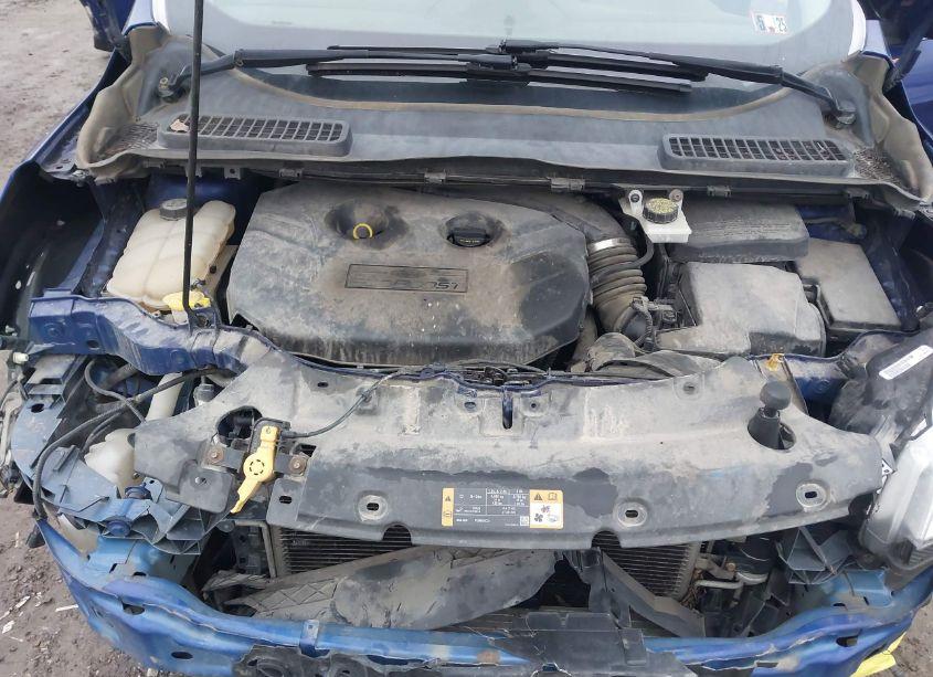 Photo 10 of 2013 Ford Escape SEL (VIN 1FMCU9H94DUB61700)