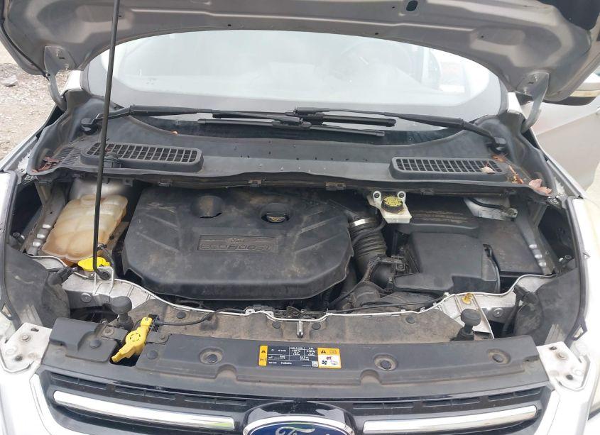 Photo 10 of 2013 Ford Escape SEL (VIN 1FMCU9H94DUC30174)