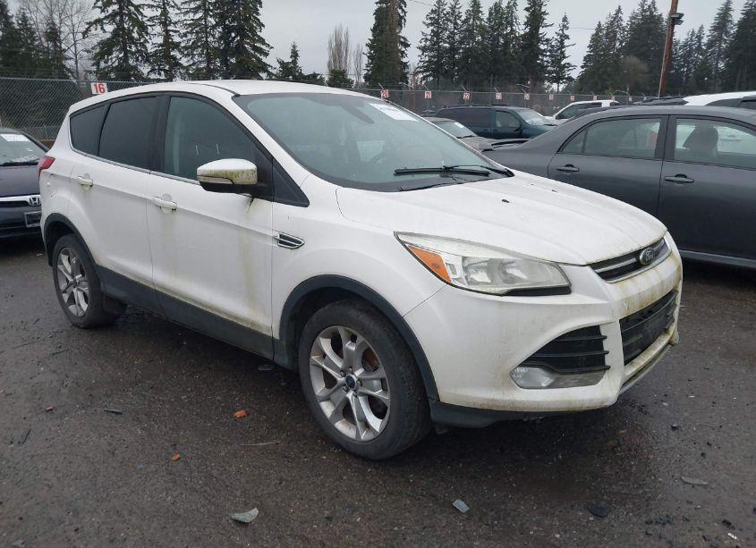 2013 Ford Escape SEL (VIN 1FMCU9H94DUD80382) main photo