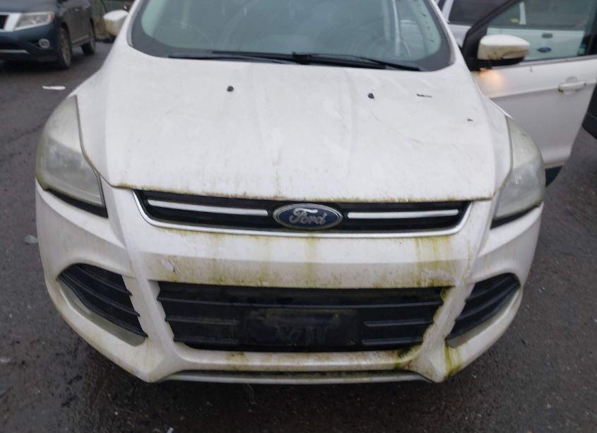 Photo 6 of 2013 Ford Escape SEL (VIN 1FMCU9H94DUD80382)