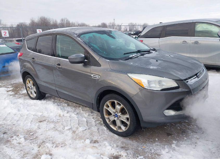 2013 Ford Escape SEL (VIN 1FMCU9H95DUA10266) main photo