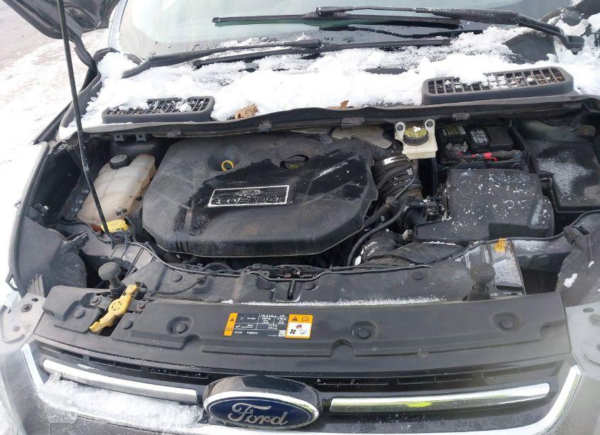 Photo 10 of 2013 Ford Escape SEL (VIN 1FMCU9H95DUA10266)