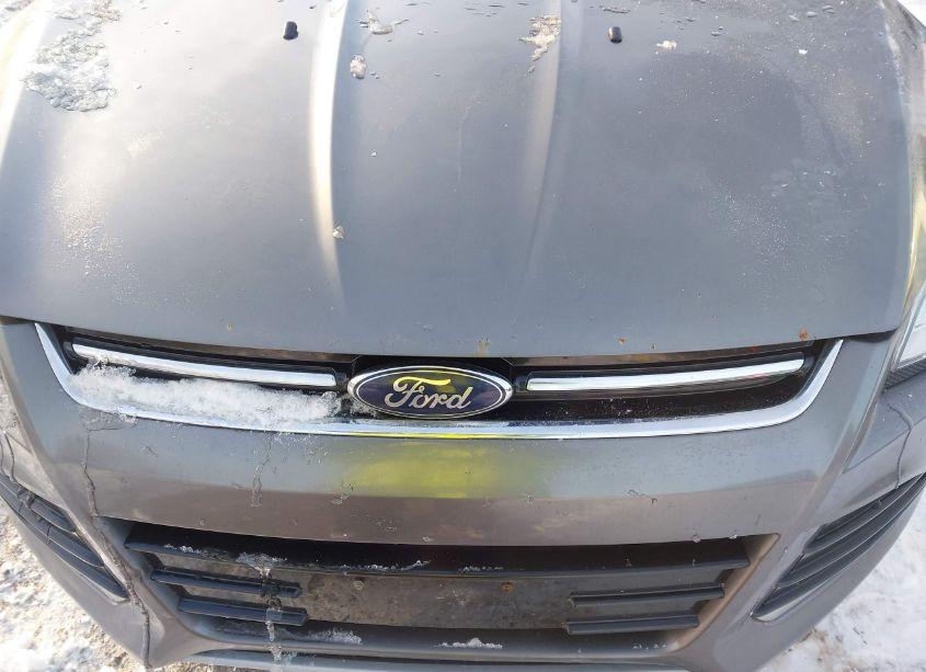 Photo 15 of 2013 Ford Escape SEL (VIN 1FMCU9H95DUA10266)