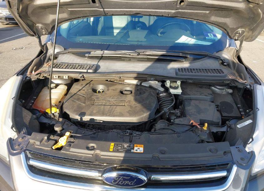 Photo 10 of 2013 Ford Escape SEL (VIN 1FMCU9H95DUA41002)