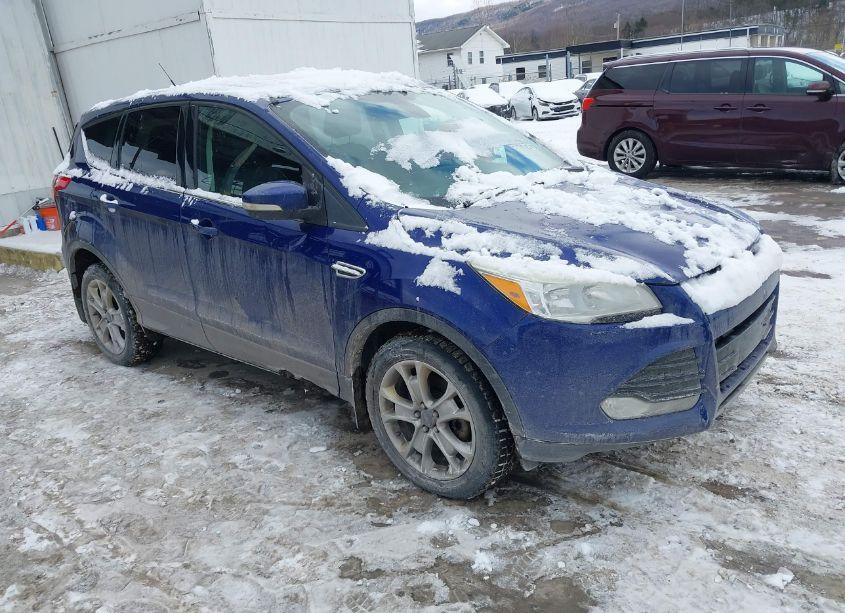 2013 Ford Escape SEL (VIN 1FMCU9H95DUA86957) main photo