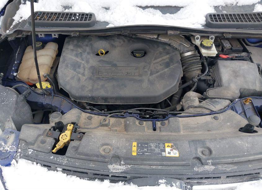 Photo 10 of 2013 Ford Escape SEL (VIN 1FMCU9H95DUA86957)