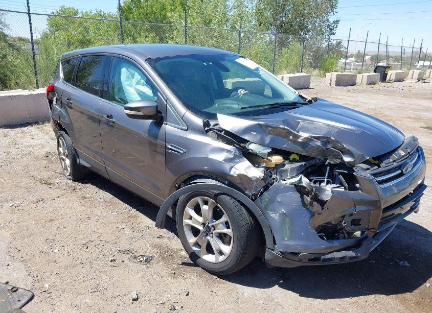 2013 Ford Escape SEL (VIN 1FMCU9H95DUD55863) main photo