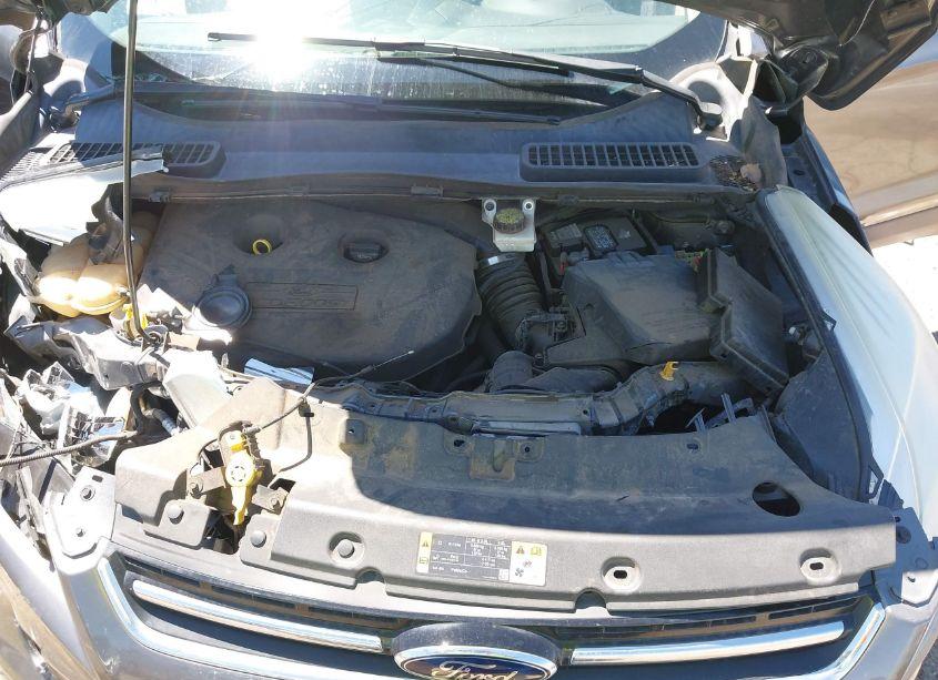 Photo 10 of 2013 Ford Escape SEL (VIN 1FMCU9H95DUD55863)