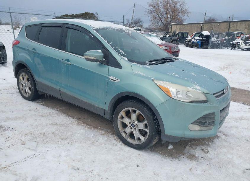 2013 Ford Escape SEL (VIN 1FMCU9H95DUD71271) main photo