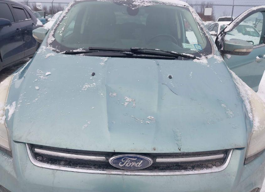 Photo 6 of 2013 Ford Escape SEL (VIN 1FMCU9H95DUD71271)