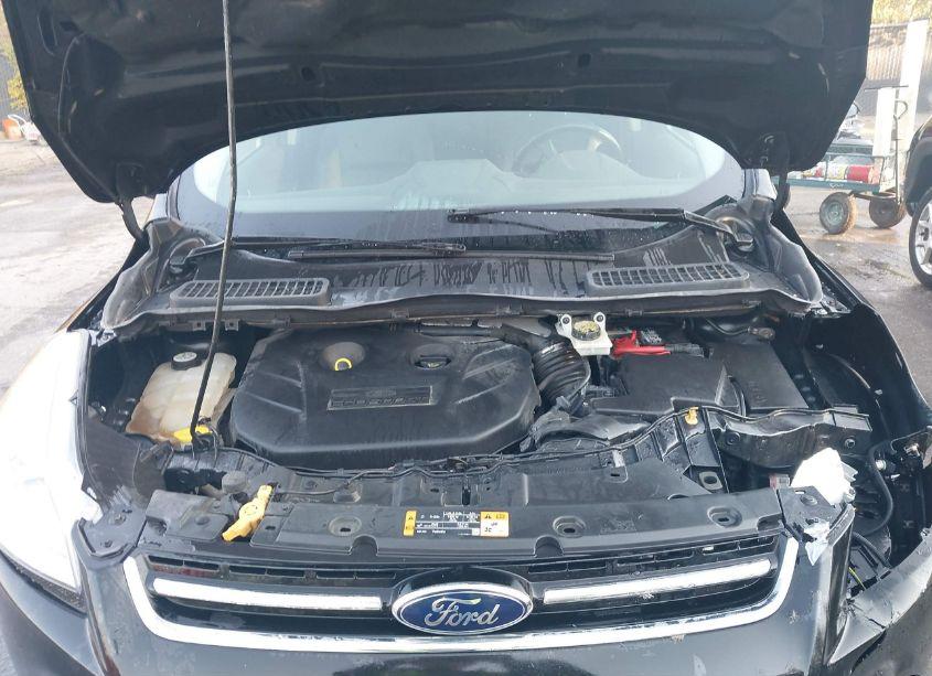 Photo 10 of 2013 Ford Escape SEL (VIN 1FMCU9H96DUA04718)