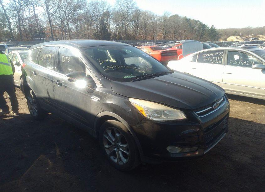 2013 Ford Escape SEL (VIN 1FMCU9H96DUA79256) main photo