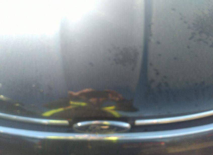 Photo 10 of 2013 Ford Escape SEL (VIN 1FMCU9H96DUA79256)