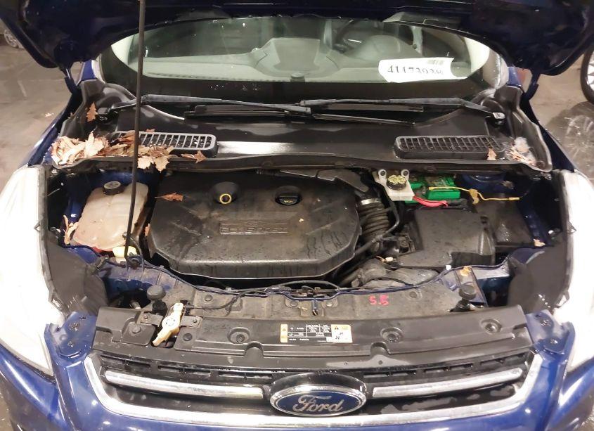 Photo 10 of 2013 Ford Escape SEL (VIN 1FMCU9H96DUA79791)