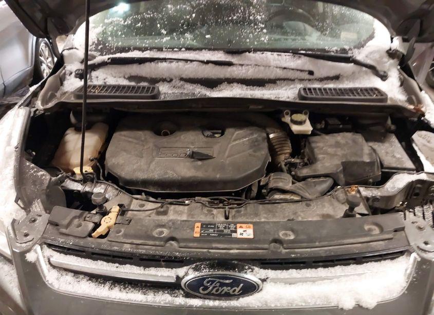 Photo 10 of 2013 Ford Escape SEL (VIN 1FMCU9H96DUA98597)