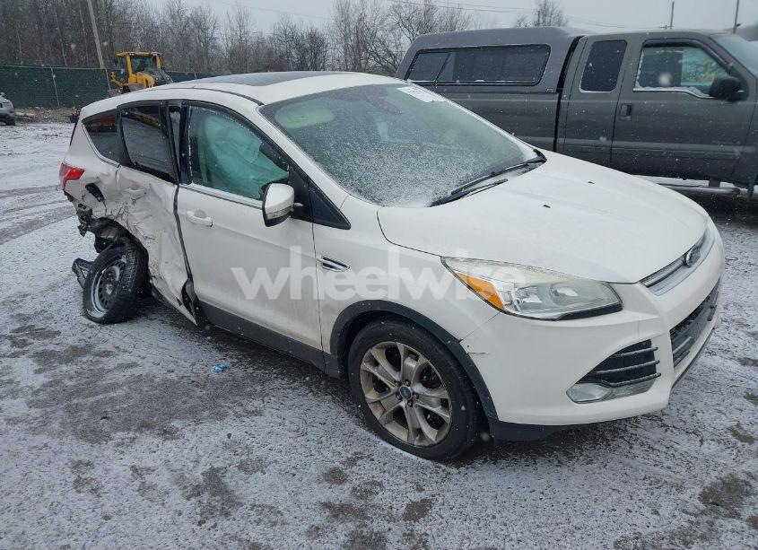 2013 Ford Escape SEL (VIN 1FMCU9H96DUB67823) main photo