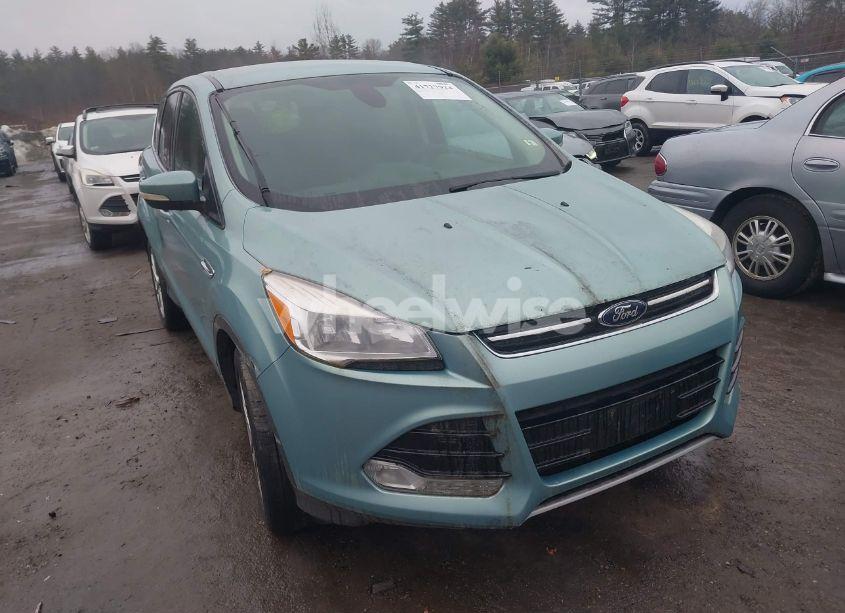 2013 Ford Escape SEL (VIN 1FMCU9H96DUB67899) main photo