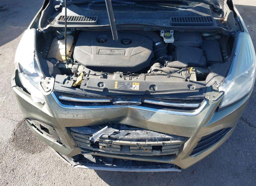 Photo 10 of 2013 Ford Escape SEL (VIN 1FMCU9H96DUB99462)