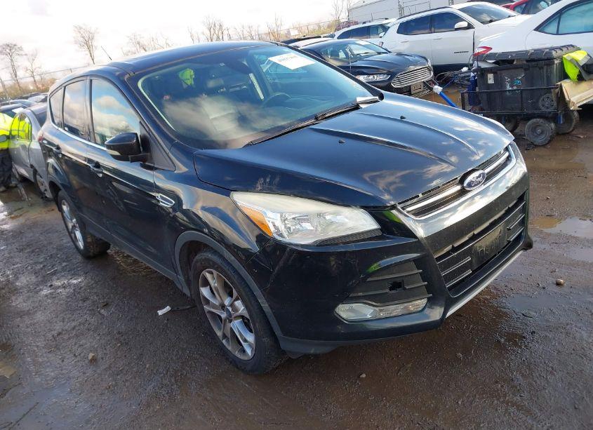 2013 Ford Escape SEL (VIN 1FMCU9H96DUD57573) main photo