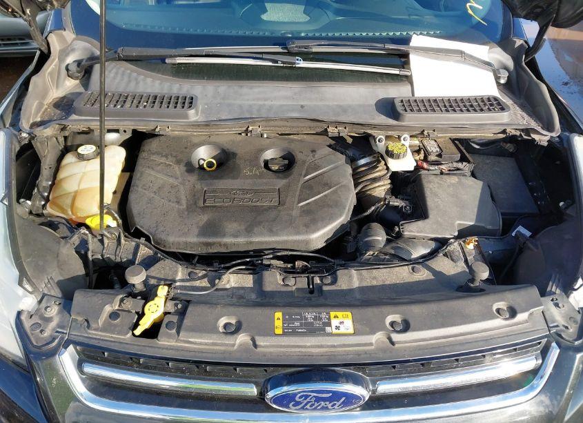 Photo 10 of 2013 Ford Escape SEL (VIN 1FMCU9H96DUD57573)